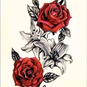 Meet your Posher, Rosa